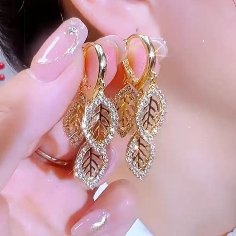 Elegant Zircon Earrings